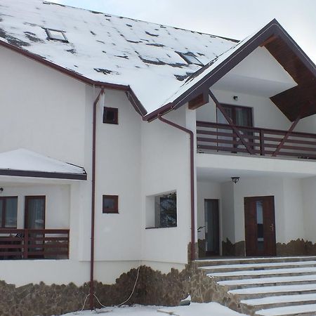 Hotel Pensiunea Eliza Podu Cosnii Zewnętrze zdjęcie